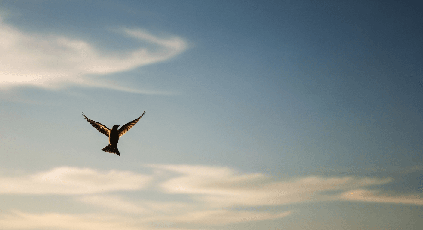 From Echo to Voice: Finding Your Authentic Communication Style After Narcissistic Abuse